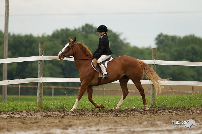 4H-1st-Show-11_1165.jpg