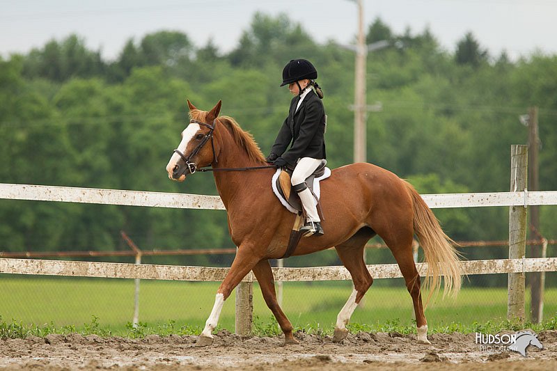 4H-1st-Show-11_1166.jpg