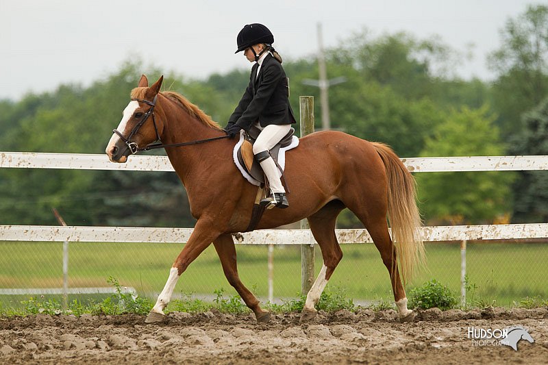 4H-1st-Show-11_1168.jpg