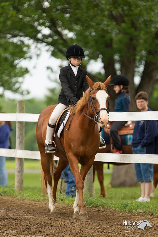 4H-1st-Show-11_1172.jpg