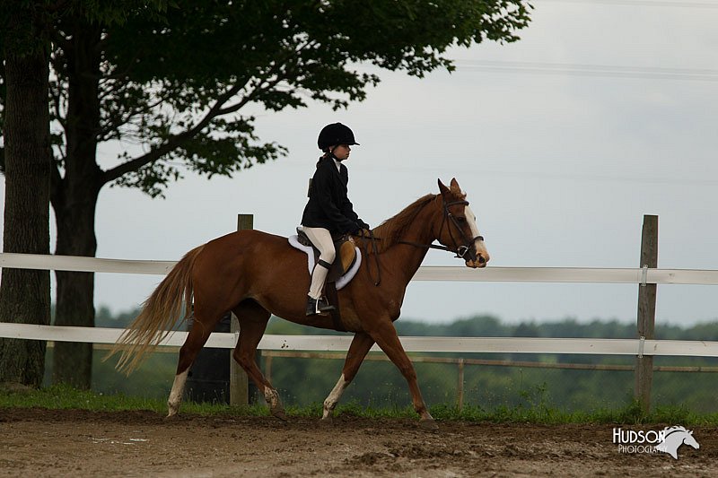 4H-1st-Show-11_1176.jpg