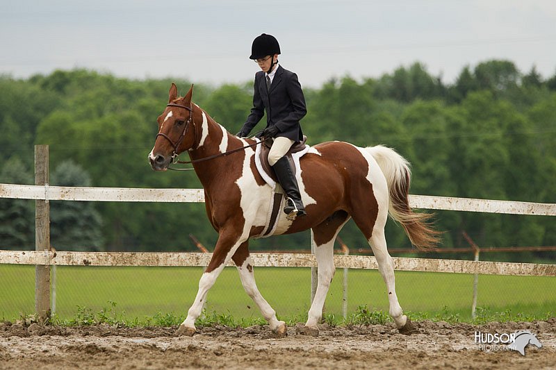 4H-1st-Show-11_1182.jpg