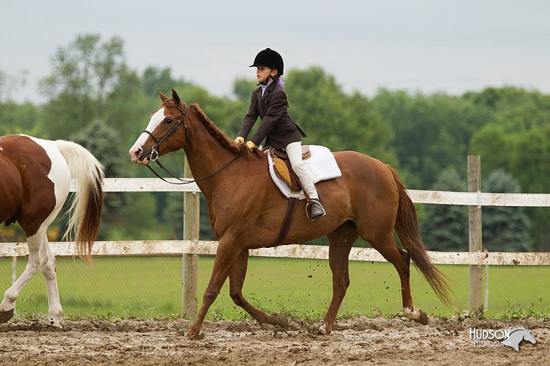 4H-1st-Show-11_1183.jpg
