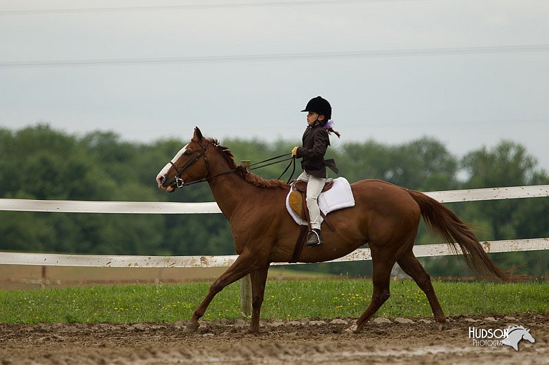 4H-1st-Show-11_1187.jpg