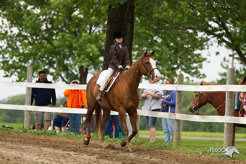 4H-1st-Show-11_1188.jpg