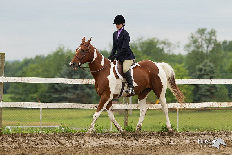 4H-1st-Show-11_1197.jpg
