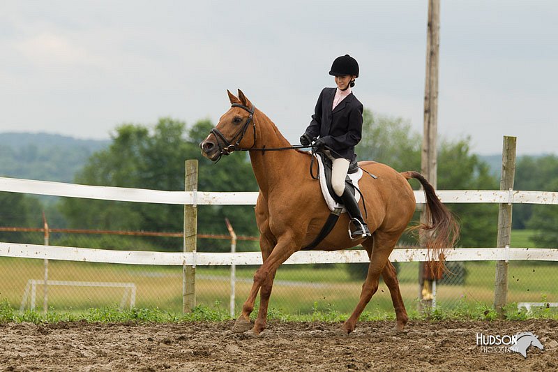 4H-1st-Show-11_1208.jpg