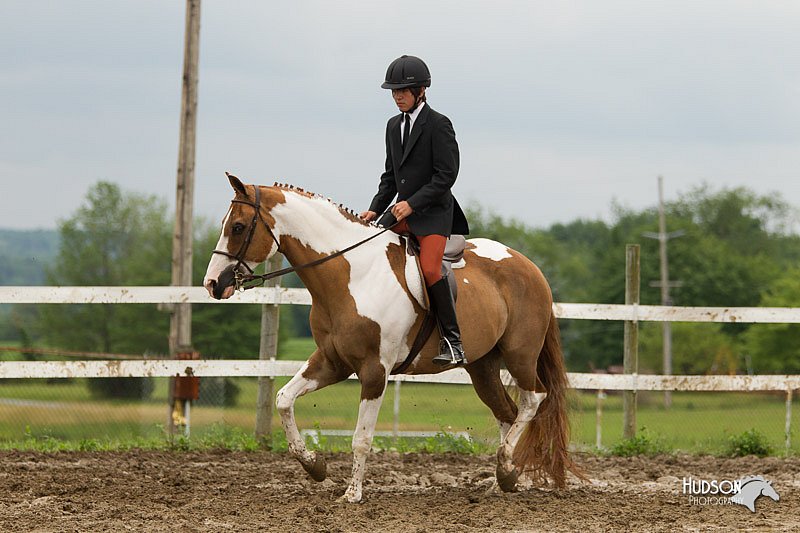 4H-1st-Show-11_1236.jpg