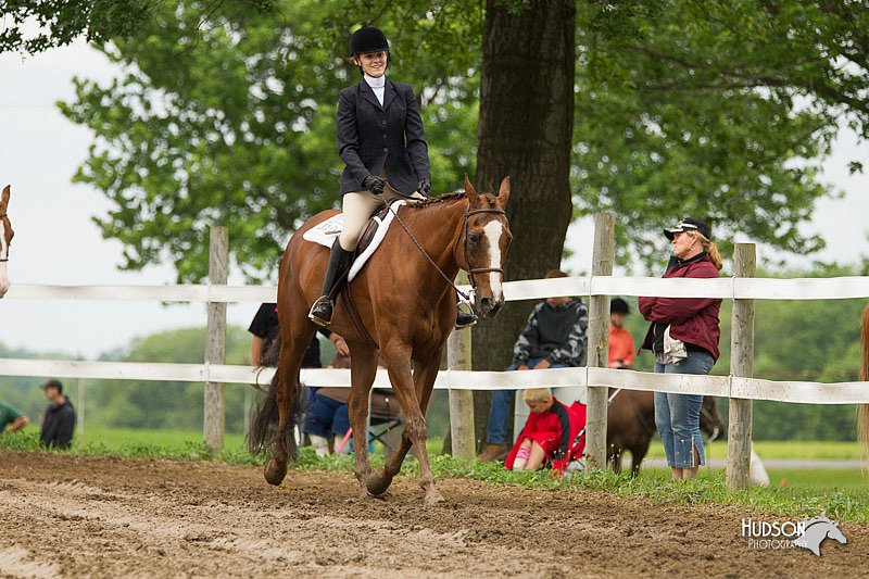 4H-1st-Show-11_1245.jpg