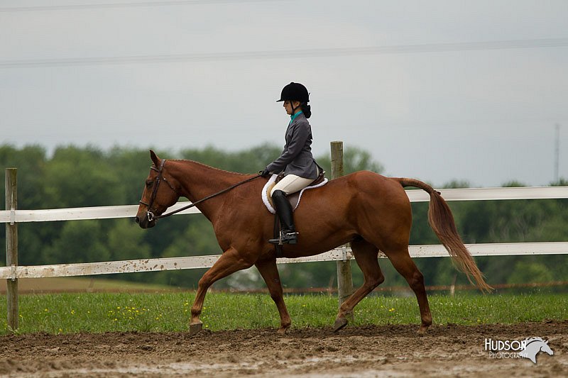 4H-1st-Show-11_1253.jpg