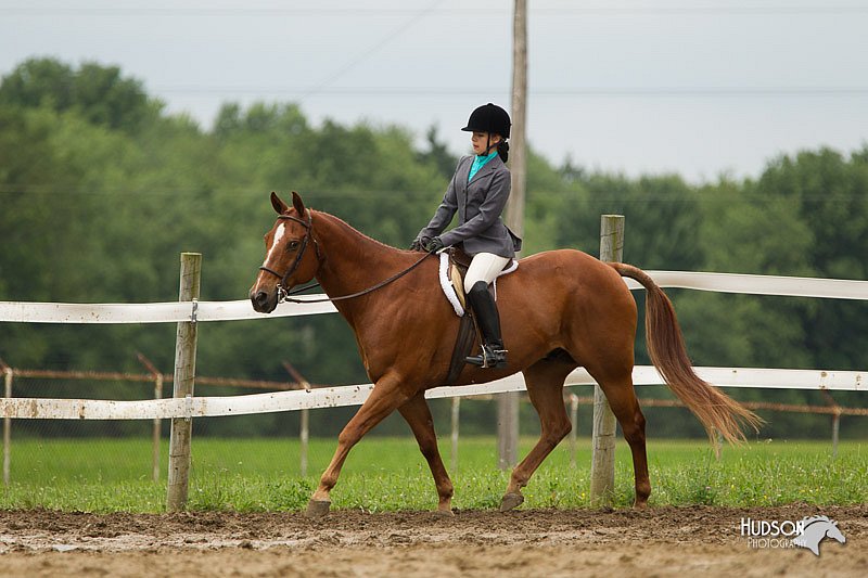 4H-1st-Show-11_1254.jpg