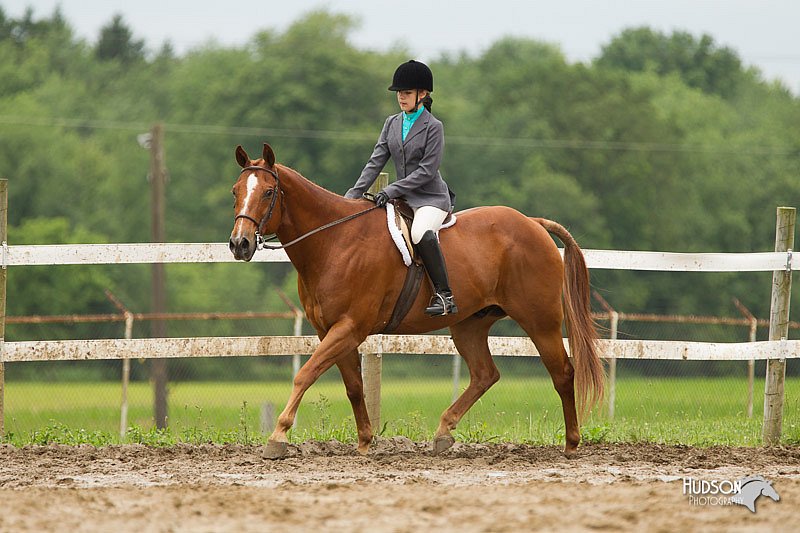4H-1st-Show-11_1255.jpg
