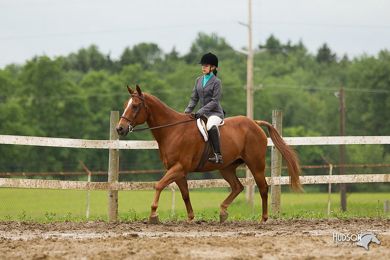 4H-1st-Show-11_1256.jpg