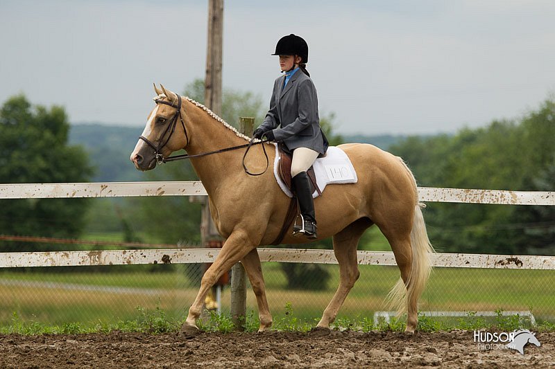 4H-1st-Show-11_1260.jpg