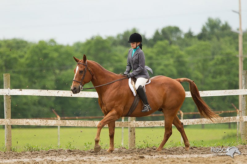 4H-1st-Show-11_1261.jpg