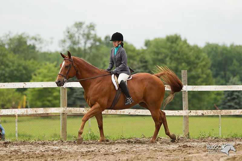 4H-1st-Show-11_1262.jpg