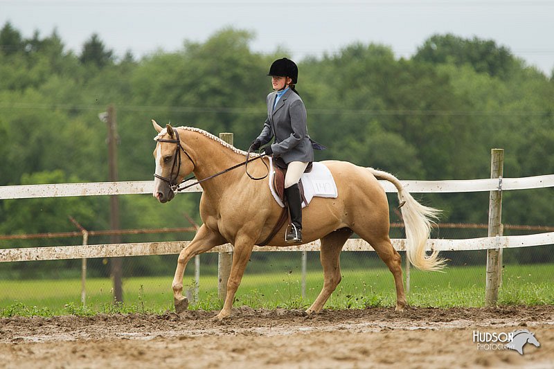 4H-1st-Show-11_1264.jpg