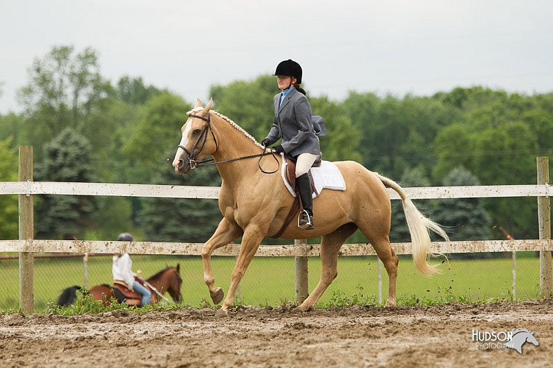 4H-1st-Show-11_1266.jpg