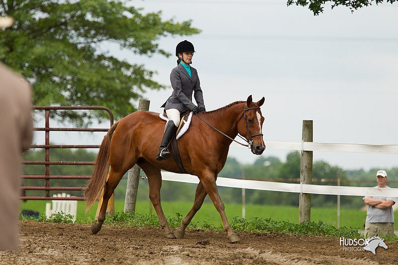 4H-1st-Show-11_1277.jpg