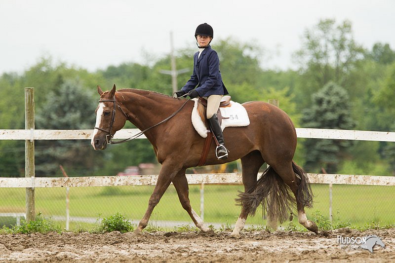 4H-1st-Show-11_1300.jpg