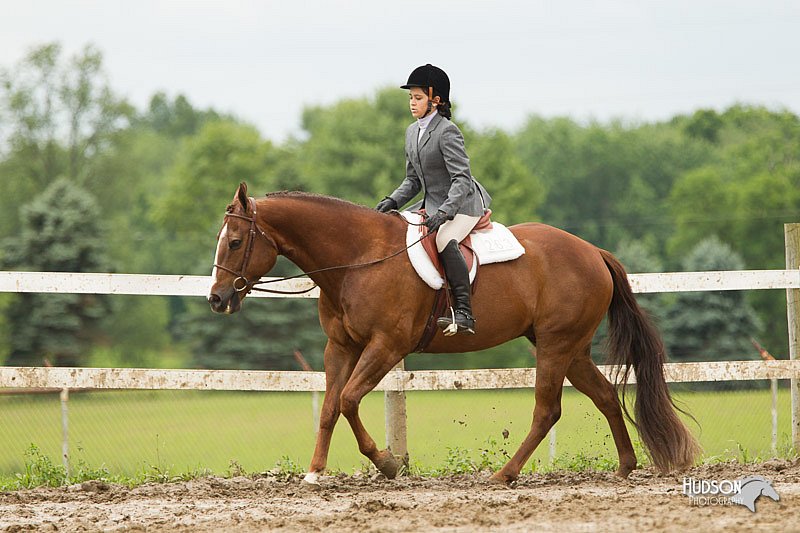 4H-1st-Show-11_1304.jpg