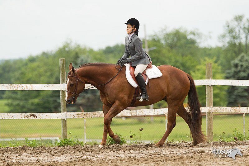 4H-1st-Show-11_1305.jpg