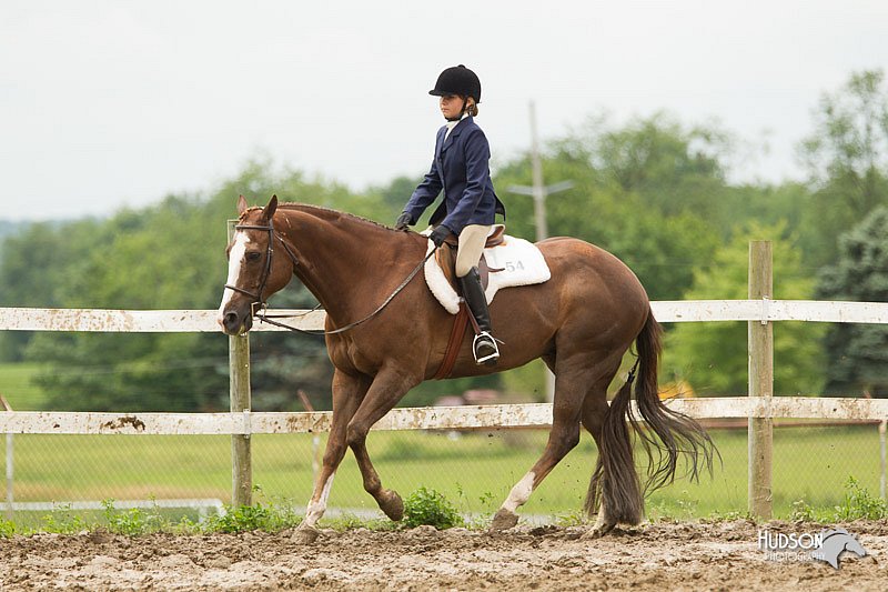 4H-1st-Show-11_1306.jpg