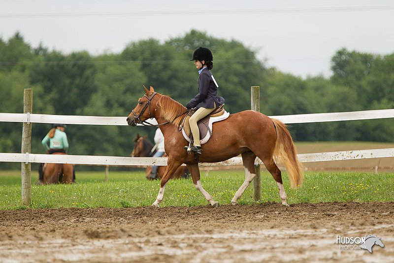 4H-1st-Show-11_1316.jpg