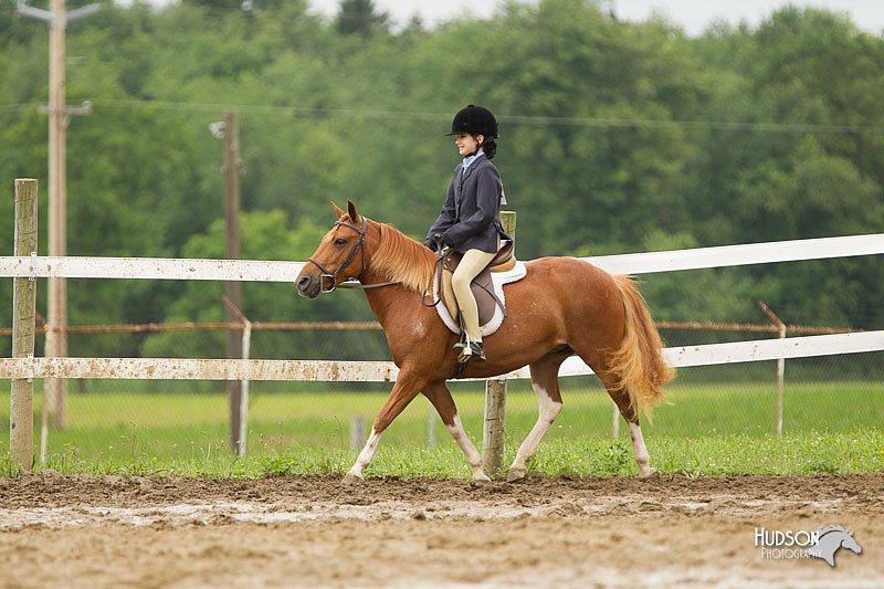 4H-1st-Show-11_1317.jpg