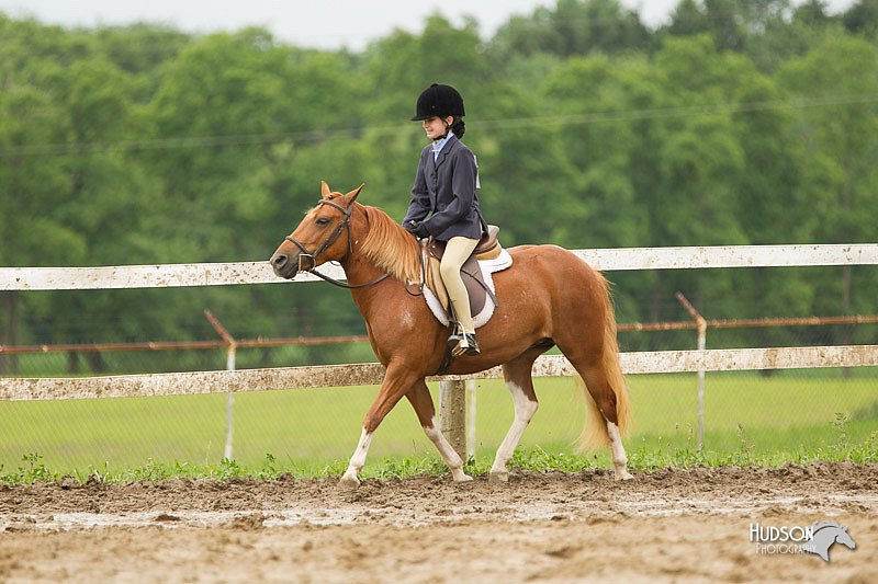 4H-1st-Show-11_1318.jpg