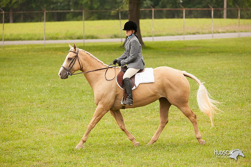 4H-1st-Show-11_2151.jpg