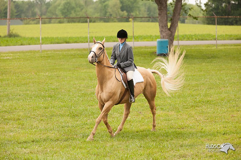 4H-1st-Show-11_2152.jpg