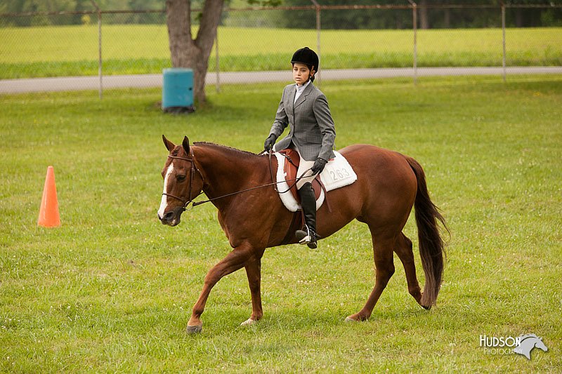 4H-1st-Show-11_2164.jpg