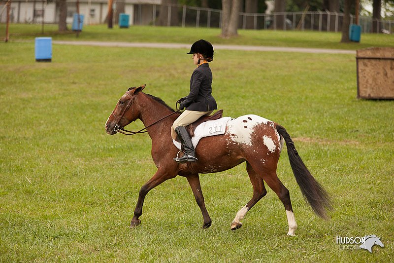 4H-1st-Show-11_2168.jpg