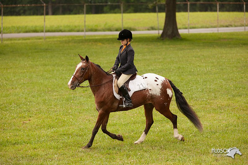 4H-1st-Show-11_2169.jpg