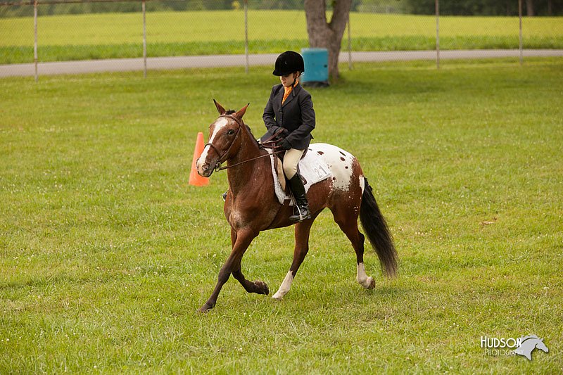4H-1st-Show-11_2170.jpg