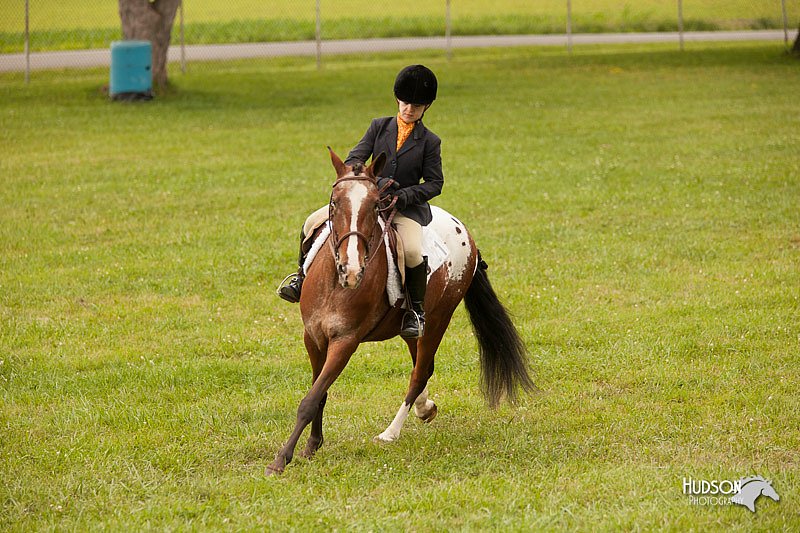 4H-1st-Show-11_2173.jpg