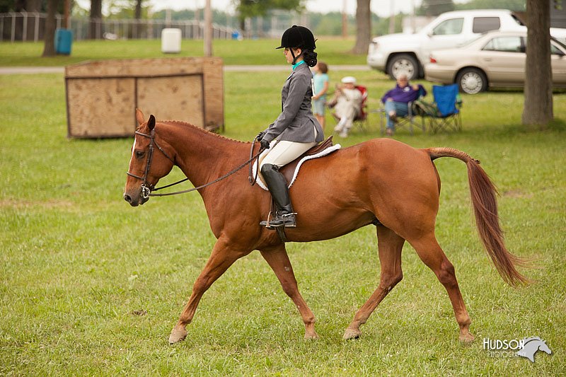 4H-1st-Show-11_2176.jpg