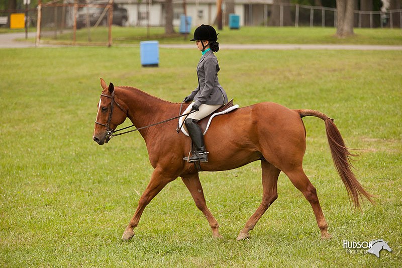 4H-1st-Show-11_2177.jpg