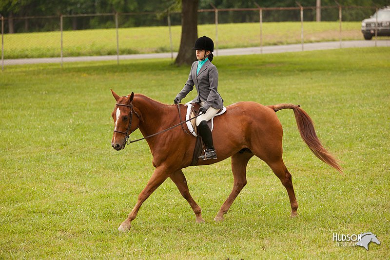 4H-1st-Show-11_2178.jpg