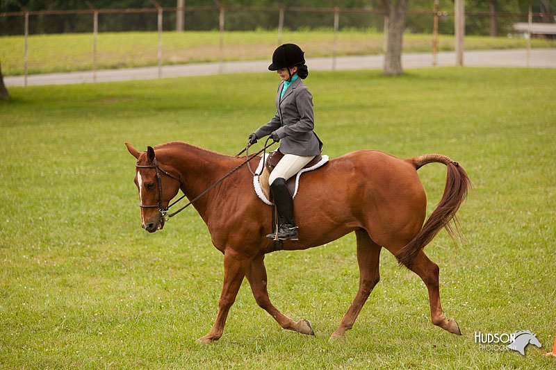 4H-1st-Show-11_2181.jpg