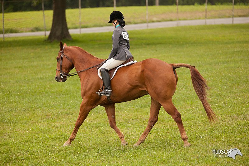 4H-1st-Show-11_2184.jpg