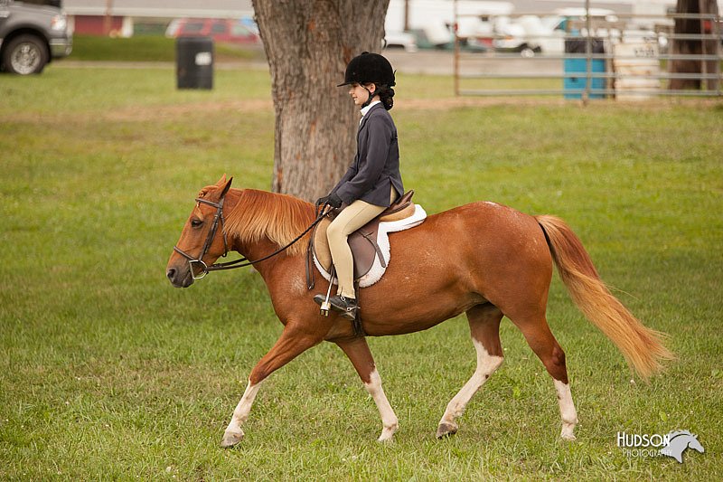 4H-1st-Show-11_2185.jpg