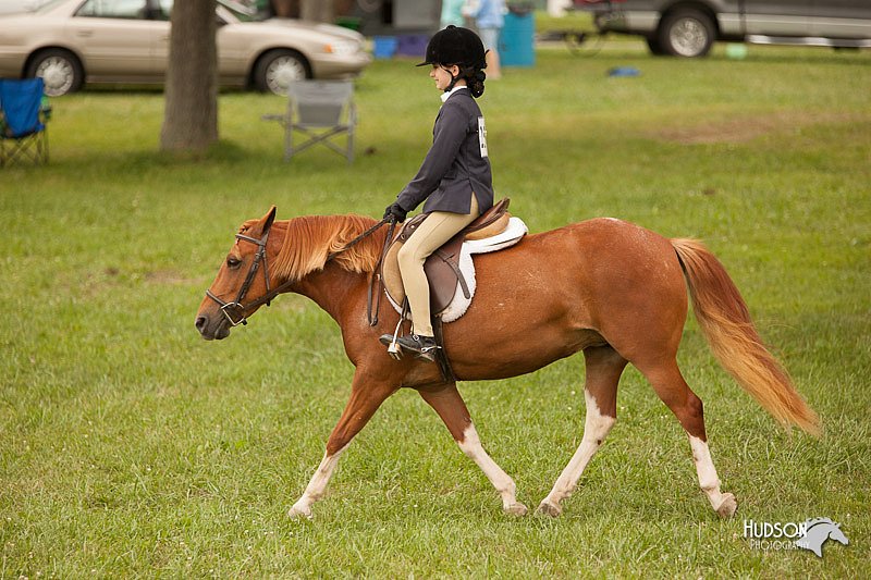 4H-1st-Show-11_2186.jpg