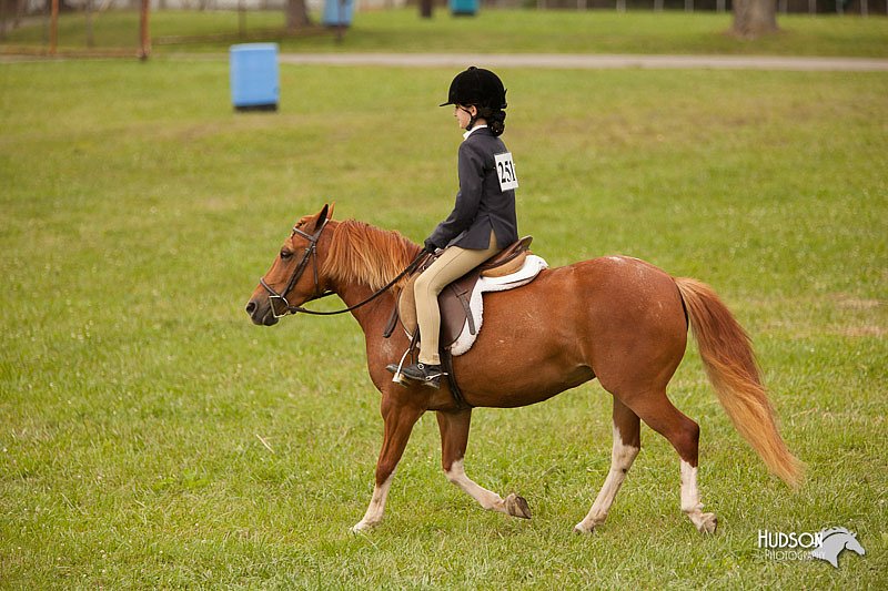 4H-1st-Show-11_2187.jpg