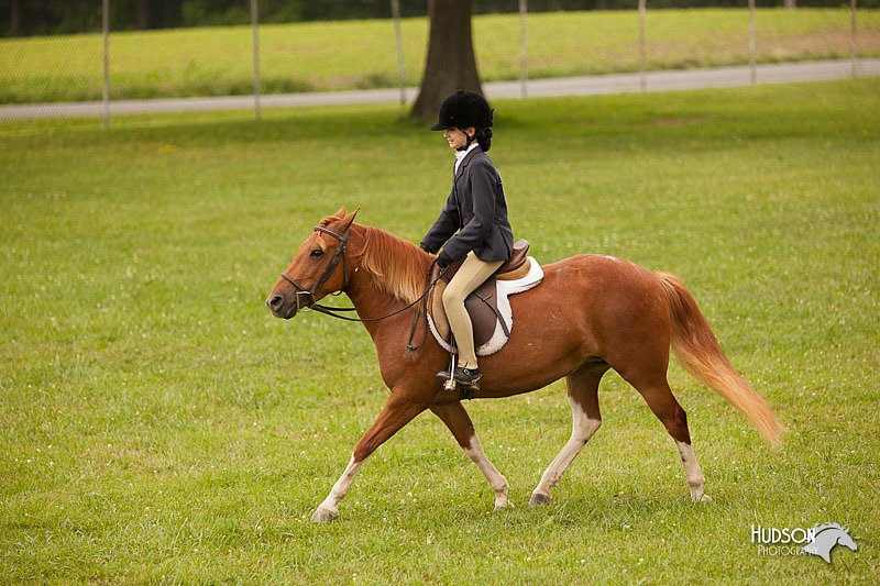4H-1st-Show-11_2188.jpg