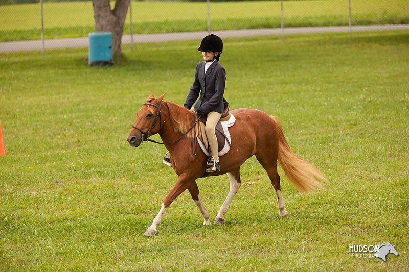 4H-1st-Show-11_2189.jpg