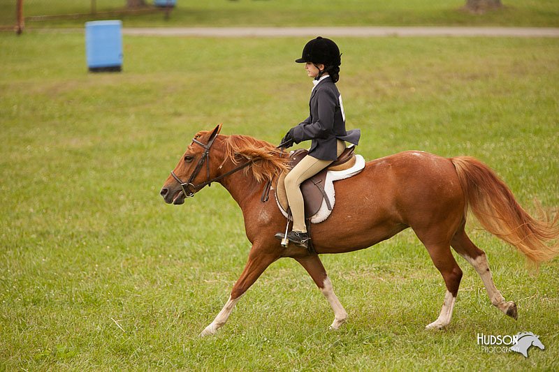 4H-1st-Show-11_2192.jpg