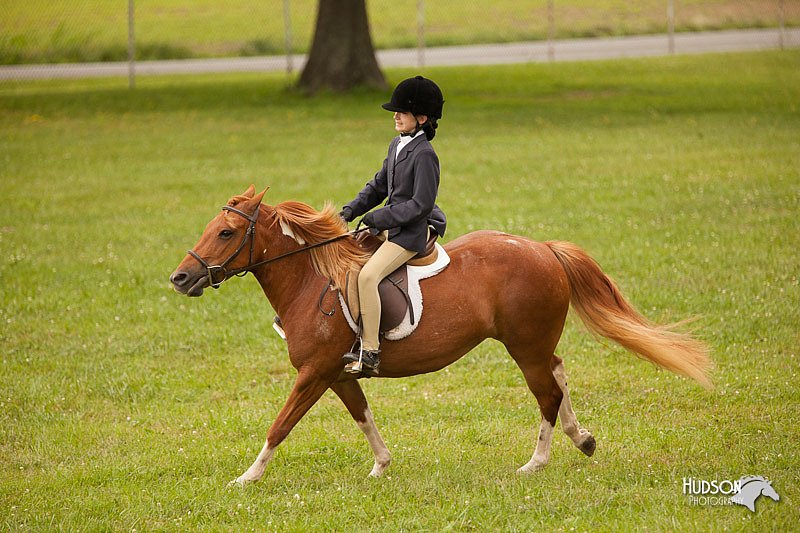 4H-1st-Show-11_2193.jpg