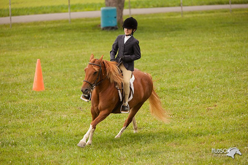 4H-1st-Show-11_2194.jpg